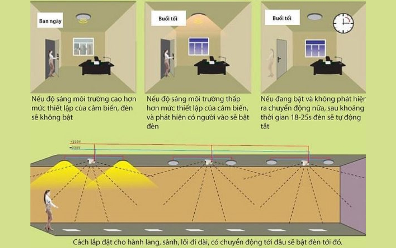 Công tắc cảm biến vi sóng Radar